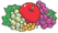Fruit of the Loom Fruit of the Loom